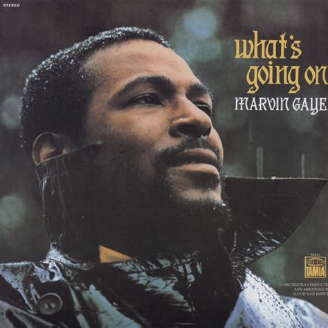marvin gaye what's going on meaning
